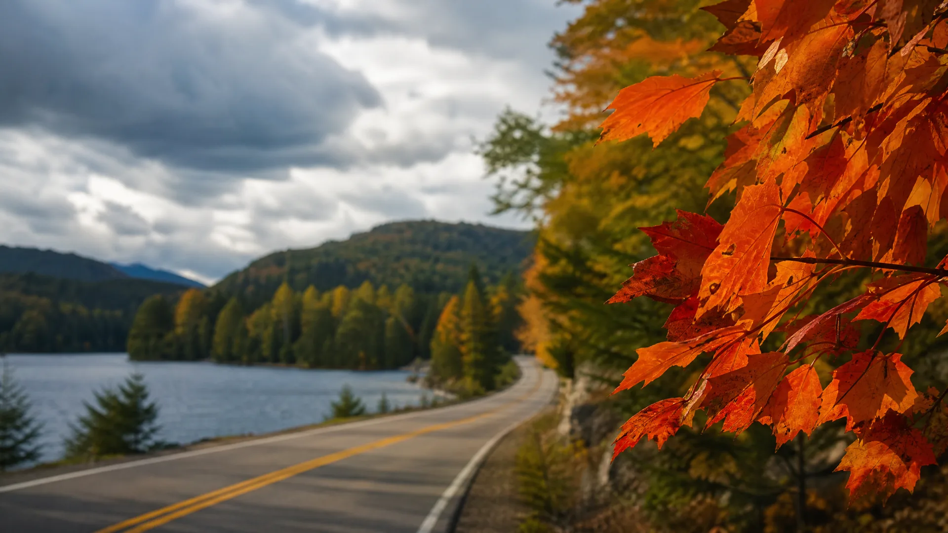 A two-lane road with yellow center lines curves along a lake shore backed by forested hills, with orange and red maple leaves in sharp focus in the right foreground under a cloudy sky.