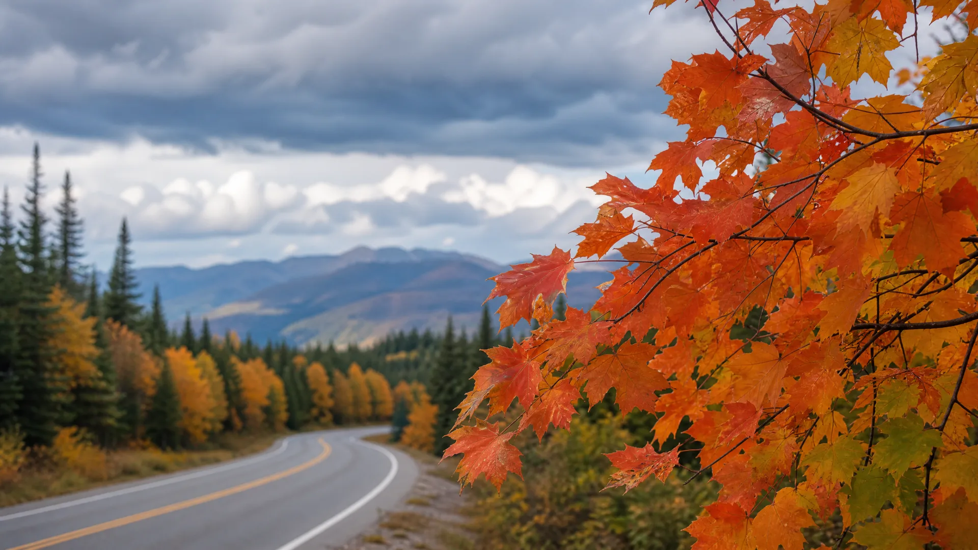 A curving two-lane paved road runs through conifer forest toward distant mountains under a cloudy sky, with orange and red maple leaves filling the right side of the frame.