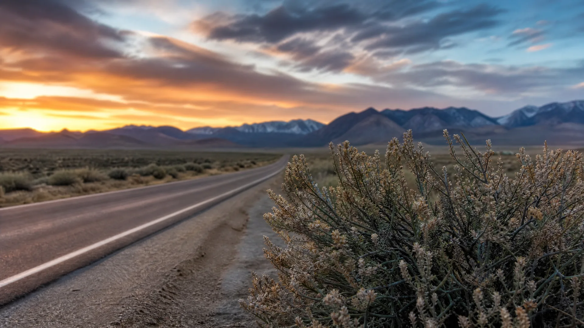 A two-lane road with a white edge line curves through flat scrubland toward distant mountains at sunset, with a large sagebrush shrub in the right foreground.