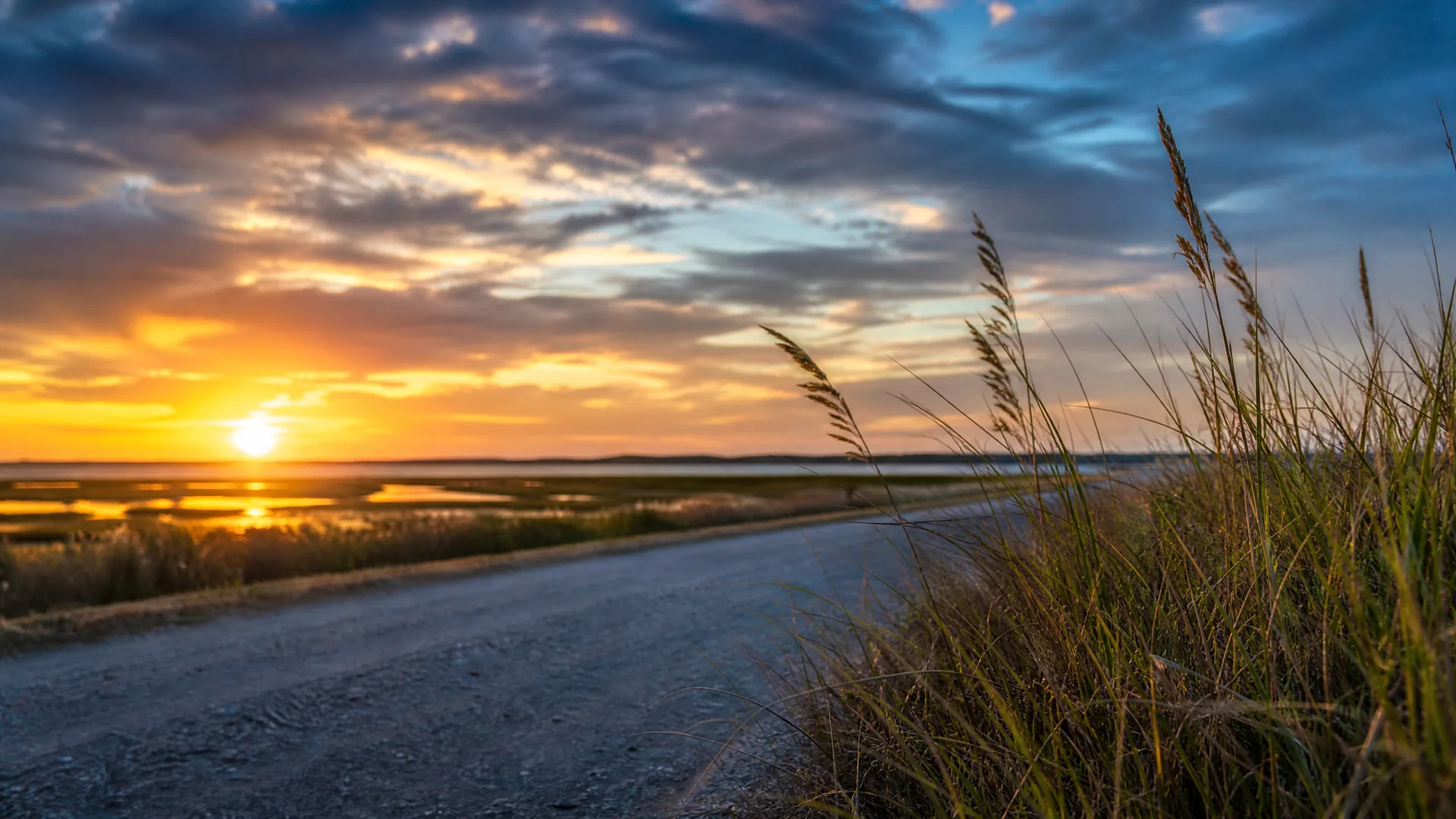 A dirt road curves past tall grasses toward flat wetlands and shallow water at sunset, under a cloud-streaked sky.