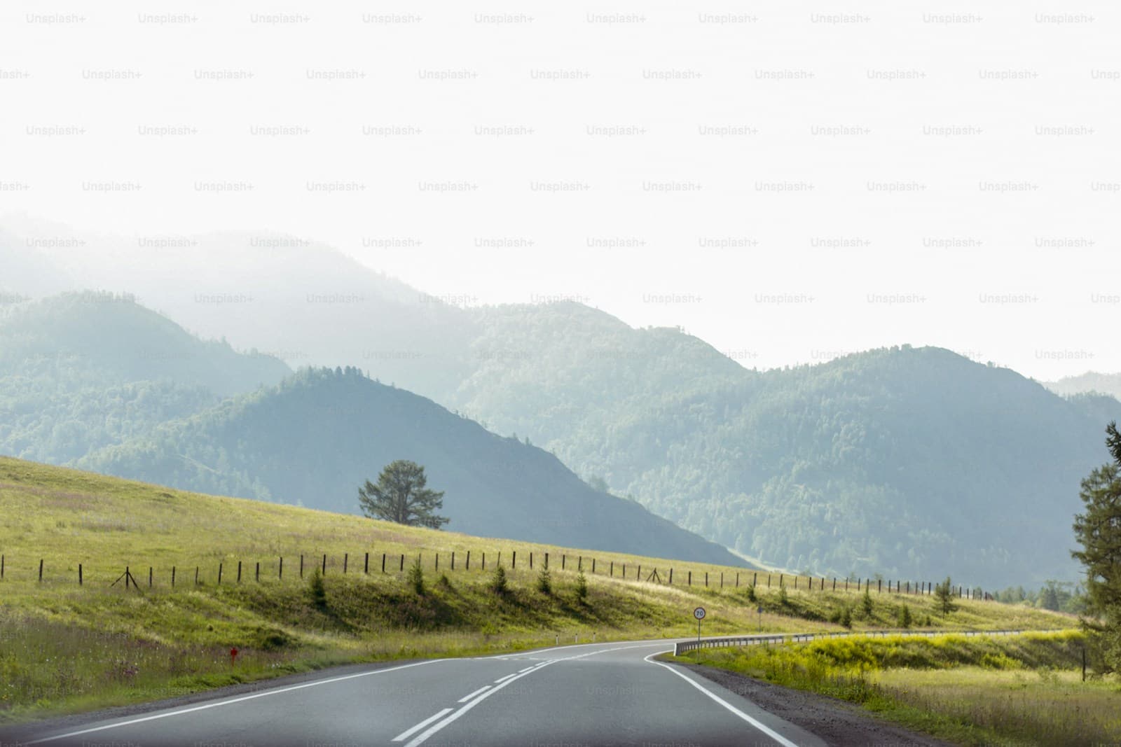 State Specific — insurance-related stock photo