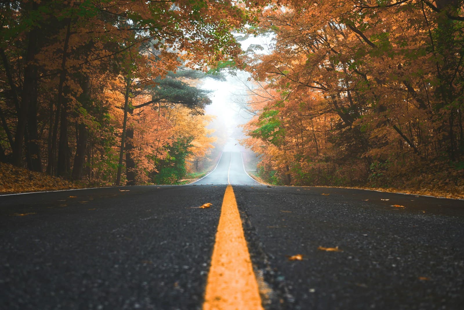 Seasonal — insurance-related stock photo